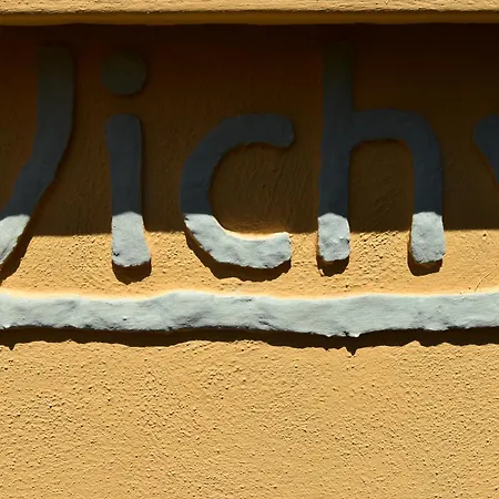 Vichyenichy *